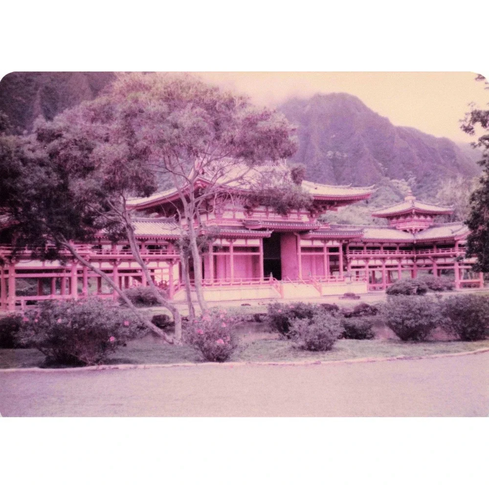 Vintage 1970s Byodo-In Temple Oahu Hawaii Buddha Photo Lot of 9 - Picture 7 of 9